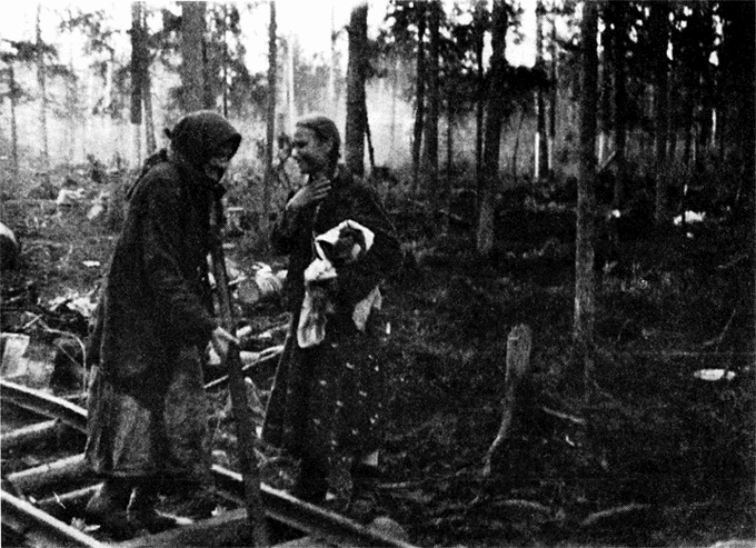 Иллюстрация к книге — Трагедия на Неве. Шокирующая правда о блокаде Ленинграда. 1941-1944 [i_020.jpg]