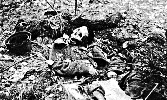 Иллюстрация к книге — Трагедия на Неве. Шокирующая правда о блокаде Ленинграда. 1941-1944 [i_023.jpg]