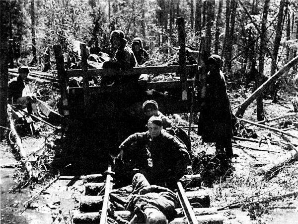 Иллюстрация к книге — Трагедия на Неве. Шокирующая правда о блокаде Ленинграда. 1941-1944 [i_028.jpg]