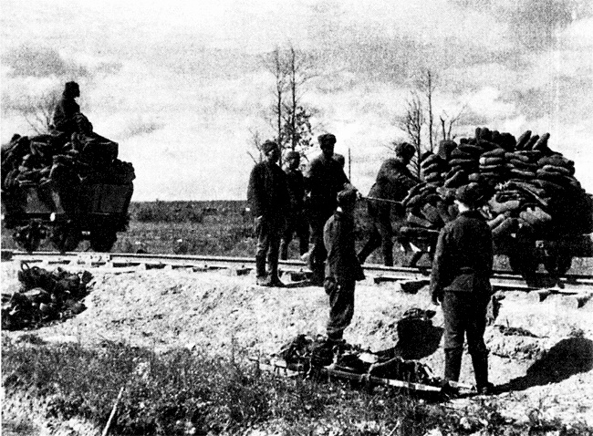 Иллюстрация к книге — Трагедия на Неве. Шокирующая правда о блокаде Ленинграда. 1941-1944 [i_029.jpg]