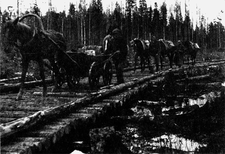 Иллюстрация к книге — Трагедия на Неве. Шокирующая правда о блокаде Ленинграда. 1941-1944 [i_040.jpg]