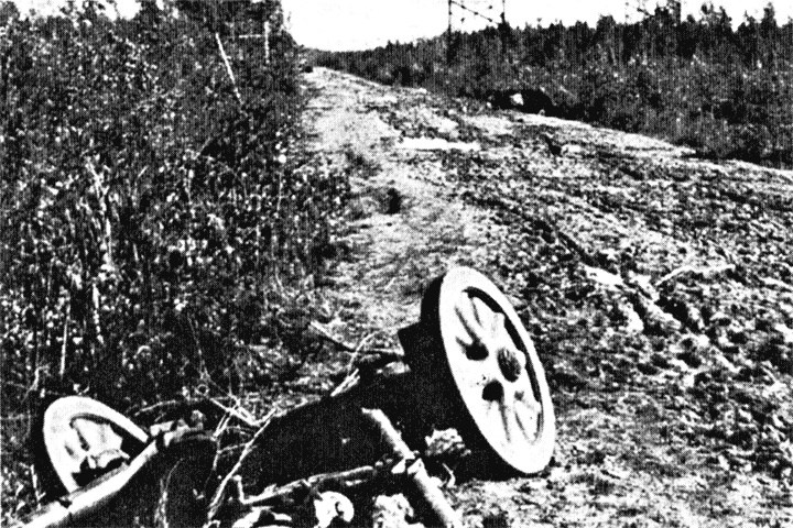 Иллюстрация к книге — Трагедия на Неве. Шокирующая правда о блокаде Ленинграда. 1941-1944 [i_044.jpg]