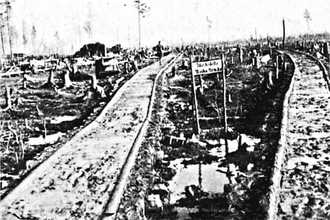 Иллюстрация к книге — Трагедия на Неве. Шокирующая правда о блокаде Ленинграда. 1941-1944 [i_046.jpg]