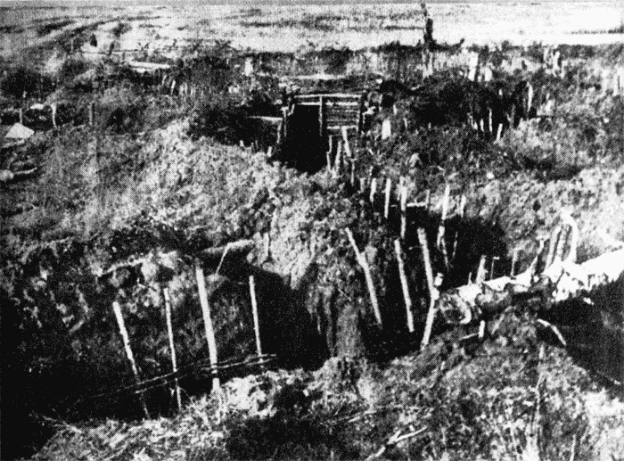 Иллюстрация к книге — Трагедия на Неве. Шокирующая правда о блокаде Ленинграда. 1941-1944 [i_060.jpg]