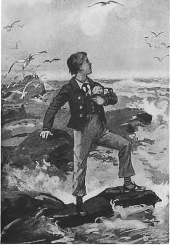 Иллюстрация к книге — Майн Рид [i_021.jpg]