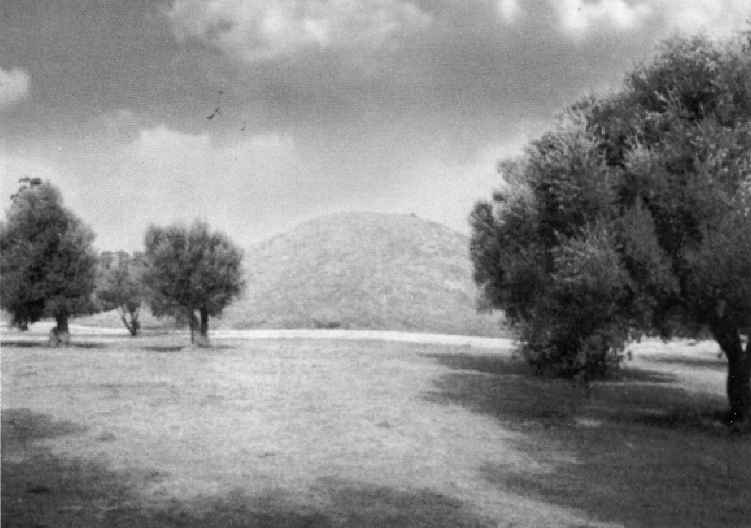 Иллюстрация к книге — Геродот [i_012.jpg]