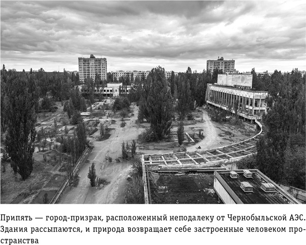 Иллюстрация к книге — Цивилизация с нуля. Что нужно знать и уметь, чтобы выжить после всемирной катастрофы [i_002.jpg]