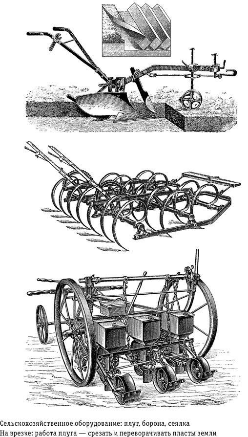 Иллюстрация к книге — Цивилизация с нуля. Что нужно знать и уметь, чтобы выжить после всемирной катастрофы [i_008.jpg]