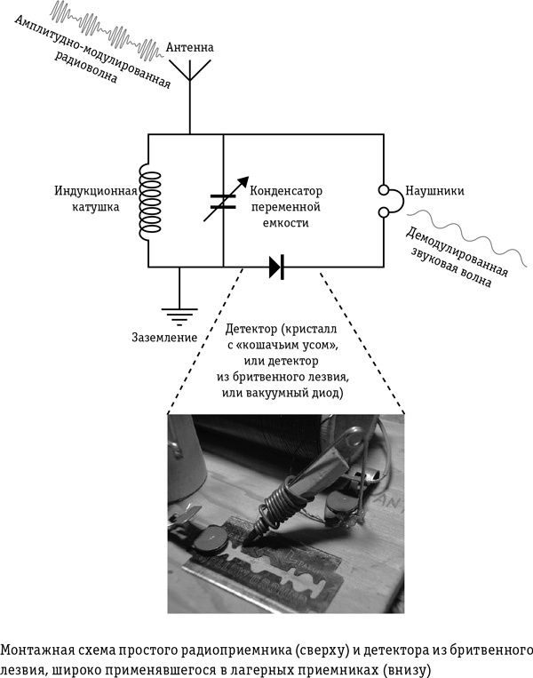Иллюстрация к книге — Цивилизация с нуля. Что нужно знать и уметь, чтобы выжить после всемирной катастрофы [i_025.jpg]