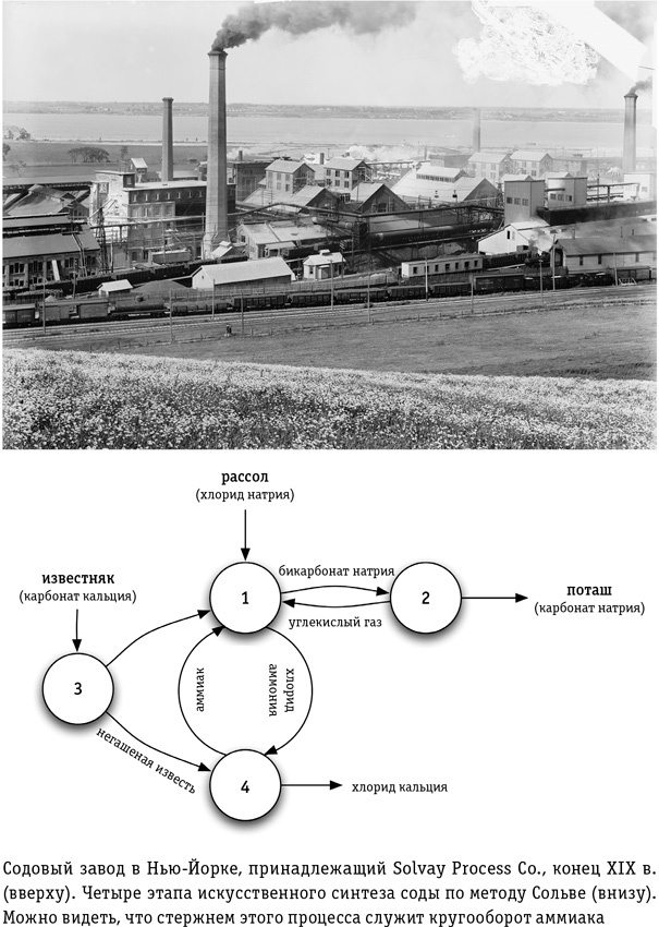 Иллюстрация к книге — Цивилизация с нуля. Что нужно знать и уметь, чтобы выжить после всемирной катастрофы [i_026.jpg]