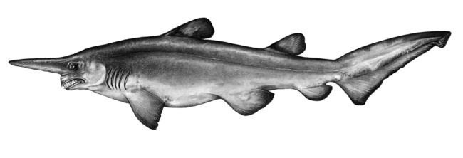 Иллюстрация к книге — Альтернативная история человечества [img4d7a.jpg]