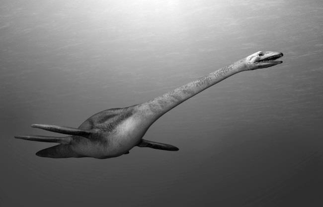 Иллюстрация к книге — Альтернативная история человечества [imge2a7.jpg]