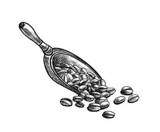 Иллюстрация к книге — Кофе лечит. Головную боль, спазм кровеносных сосудов, простуду, астму [i_011.jpg]