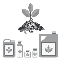 Иллюстрация к книге — Клетка &quot;на диете&quot;. Научное открытие о влиянии жиров на мышление, физическую активность и обмен веществ [i_006.jpg]