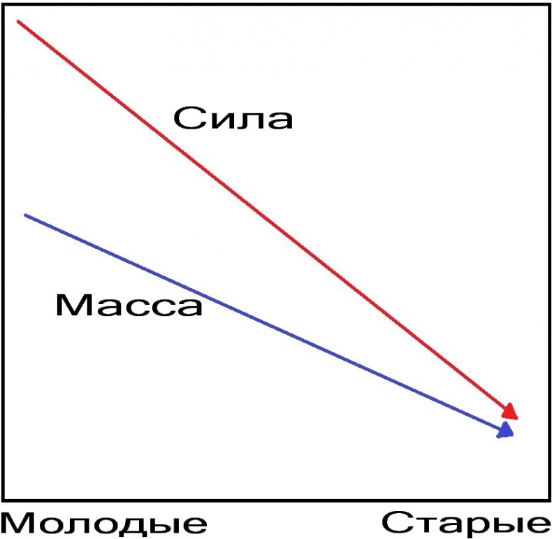 Иллюстрация к книге — Теломераза. Как сохранить молодость, укрепить здоровье и увеличить продолжительность жизни [i_018.jpg]