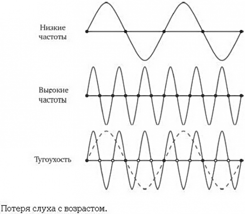 Иллюстрация к книге — Теломераза. Как сохранить молодость, укрепить здоровье и увеличить продолжительность жизни [i_019.jpg]