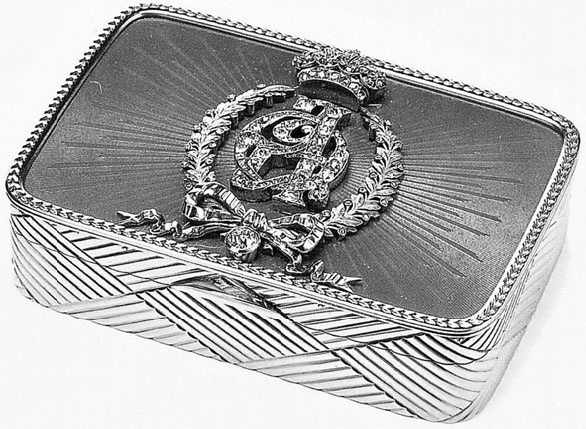 Иллюстрация к книге — Врачи двора его Императорского величества, или Как лечили царскую семью [_135.jpg]