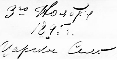 Иллюстрация к книге — Врачи двора его Императорского величества, или Как лечили царскую семью [_136.jpg]