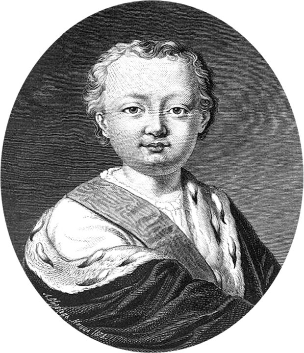 Иллюстрация к книге — Врачи двора его Императорского величества, или Как лечили царскую семью [_142.jpg]