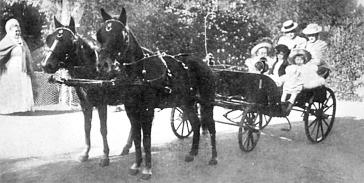 Иллюстрация к книге — Врачи двора его Императорского величества, или Как лечили царскую семью [_152.jpg]