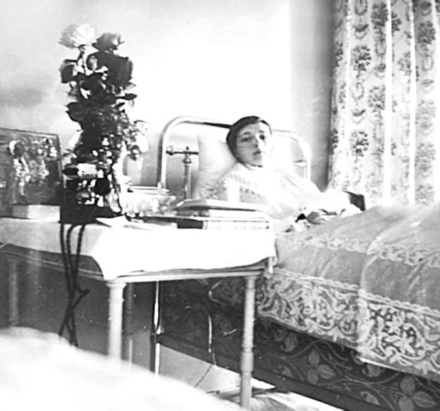 Иллюстрация к книге — Врачи двора его Императорского величества, или Как лечили царскую семью [_251.jpg]