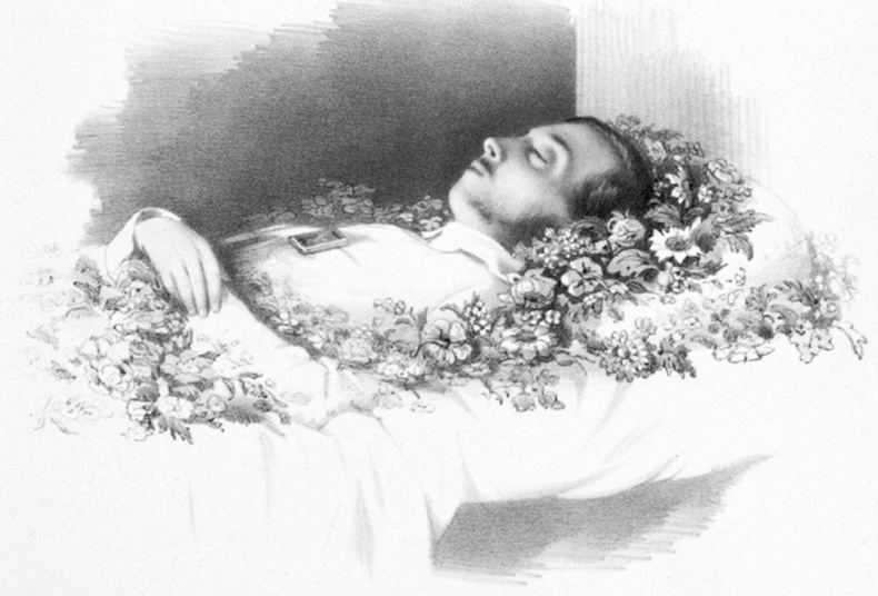 Иллюстрация к книге — Врачи двора его Императорского величества, или Как лечили царскую семью [_256.jpg]