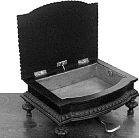 Иллюстрация к книге — Врачи двора его Императорского величества, или Как лечили царскую семью [_260.jpg]