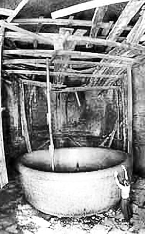 Иллюстрация к книге — Врачи двора его Императорского величества, или Как лечили царскую семью [_28.jpg]