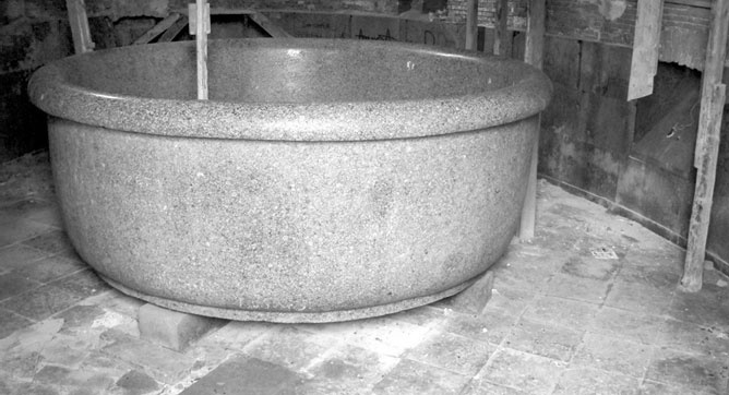 Иллюстрация к книге — Врачи двора его Императорского величества, или Как лечили царскую семью [_29.jpg]