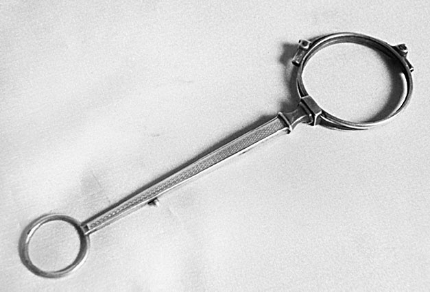 Иллюстрация к книге — Врачи двора его Императорского величества, или Как лечили царскую семью [_309.jpg]