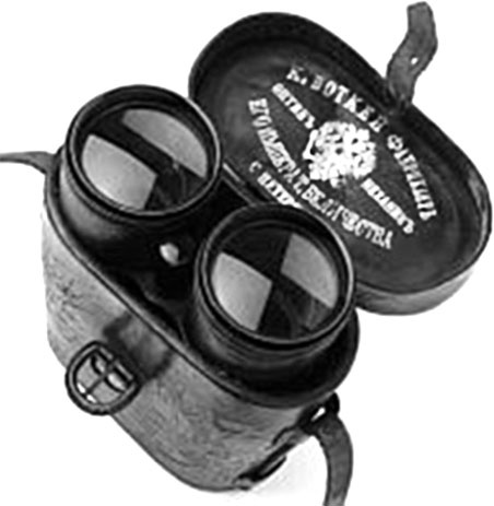 Иллюстрация к книге — Врачи двора его Императорского величества, или Как лечили царскую семью [_334.jpg]