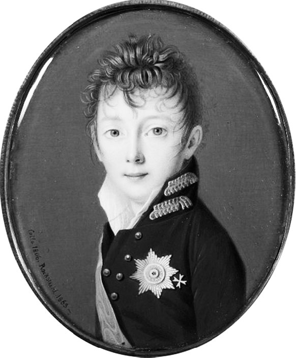 Иллюстрация к книге — Врачи двора его Императорского величества, или Как лечили царскую семью [_347.jpg]