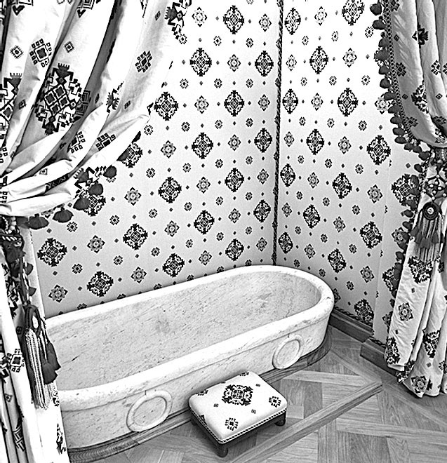 Иллюстрация к книге — Врачи двора его Императорского величества, или Как лечили царскую семью [_356.jpg]