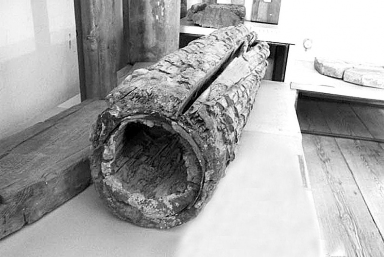 Иллюстрация к книге — Врачи двора его Императорского величества, или Как лечили царскую семью [_368.jpg]