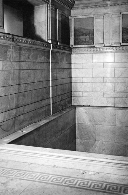 Иллюстрация к книге — Врачи двора его Императорского величества, или Как лечили царскую семью [_378.jpg]