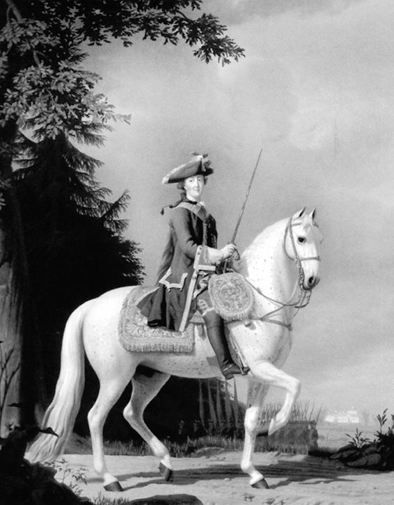 Иллюстрация к книге — Врачи двора его Императорского величества, или Как лечили царскую семью [_436.jpg]