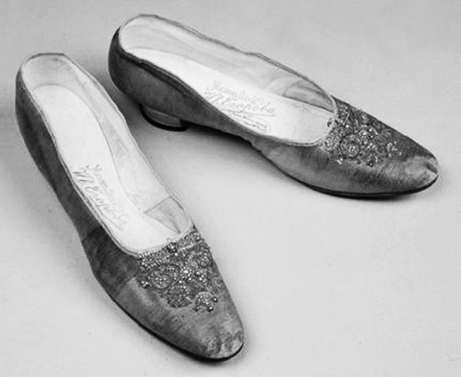 Иллюстрация к книге — Врачи двора его Императорского величества, или Как лечили царскую семью [_480.jpg]