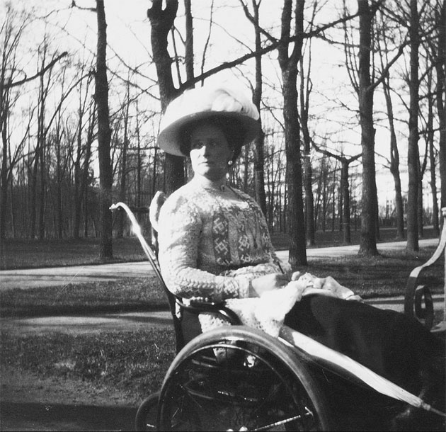 Иллюстрация к книге — Врачи двора его Императорского величества, или Как лечили царскую семью [_483.jpg]