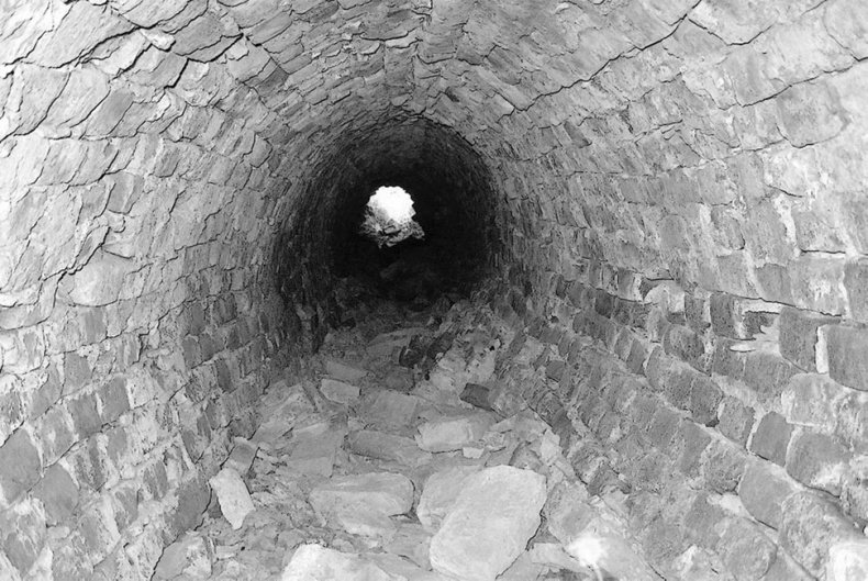 Иллюстрация к книге — Врачи двора его Императорского величества, или Как лечили царскую семью [_500.jpg]