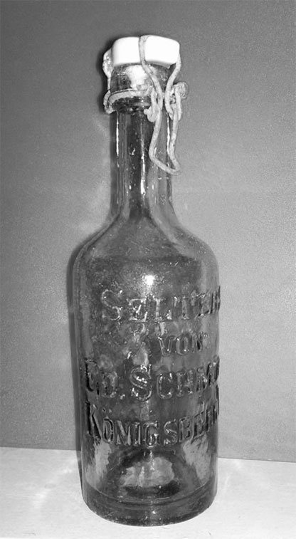 Иллюстрация к книге — Врачи двора его Императорского величества, или Как лечили царскую семью [_501.jpg]