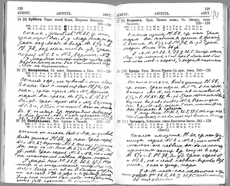 Иллюстрация к книге — Врачи двора его Императорского величества, или Как лечили царскую семью [_60.jpg]