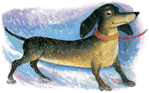 Иллюстрация к книге — Не буду просить прощения (сборник) [i_010.jpg]