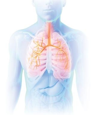 Иллюстрация к книге — Как избавиться от боков, &quot;ушей&quot; и &quot;галифе&quot; [i_044.jpg]