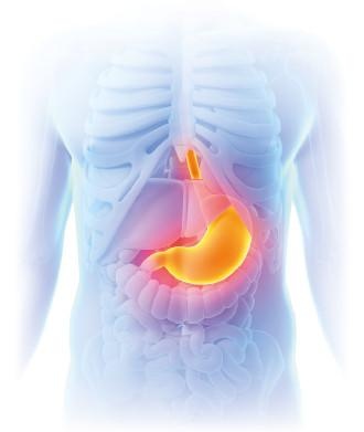 Иллюстрация к книге — Как избавиться от боков, &quot;ушей&quot; и &quot;галифе&quot; [i_045.jpg]