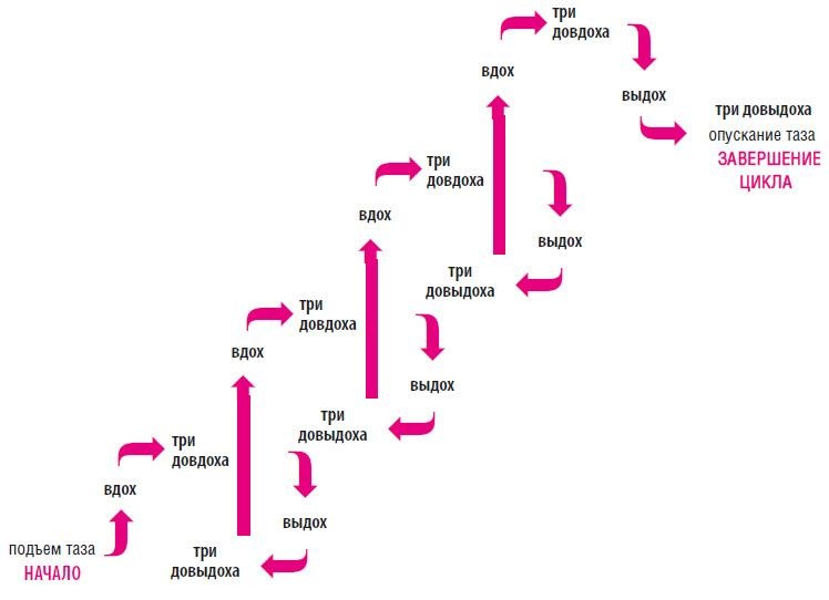 Иллюстрация к книге — Как избавиться от боков, &quot;ушей&quot; и &quot;галифе&quot; [i_050.jpg]