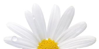 Иллюстрация к книге — Как избавиться от боков, &quot;ушей&quot; и &quot;галифе&quot; [i_060.jpg]