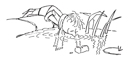 Иллюстрация к книге — Малыш Николя на переменках [i_034.jpg]