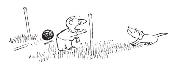 Иллюстрация к книге — Малыш Николя на переменках [i_050.jpg]