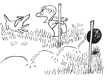 Иллюстрация к книге — Малыш Николя на переменках [i_051.jpg]