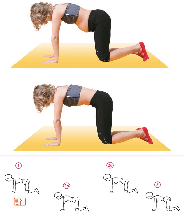 Иллюстрация к книге — Бодифлекс для лица и тела [i_059.jpg]